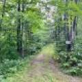 12625 E. Village Rd, , Little Rice,  WI 54564 United States