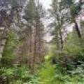 12625 E. Village Rd, , Little Rice,  WI 54564 United States