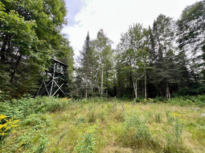 12625 E. Village Rd, , Little Rice,  WI 54564 United States