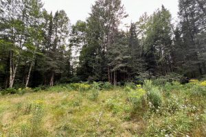 12625 E. Village Rd, , Little Rice,  WI 54564 United States
