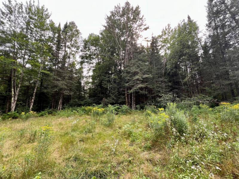 12625 E. Village Rd, , Little Rice,  WI 54564 United States