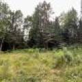 12625 E. Village Rd, , Little Rice,  WI 54564 United States