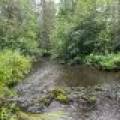 12625 E. Village Rd, , Little Rice,  WI 54564 United States