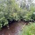 12625 E. Village Rd, , Little Rice,  WI 54564 United States