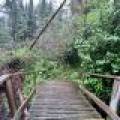 12625 E. Village Rd, , Little Rice,  WI 54564 United States