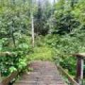12625 E. Village Rd, , Little Rice,  WI 54564 United States