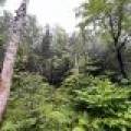 12625 E. Village Rd, , Little Rice,  WI 54564 United States