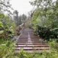 12625 E. Village Rd, , Little Rice,  WI 54564 United States