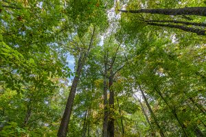 12ac Off Lakeshore Dr., , Bessemer,  MI 49911 United States