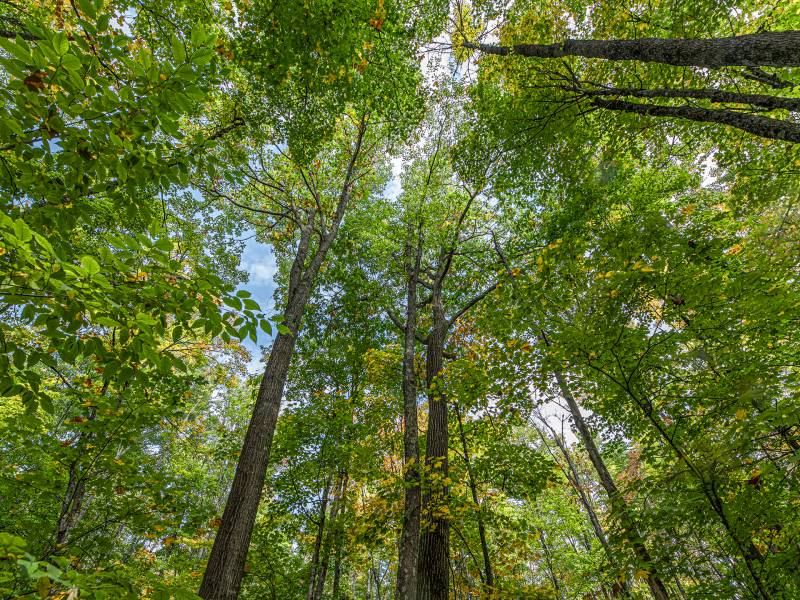 12ac Off Lakeshore Dr., , Bessemer,  MI 49911 United States