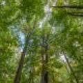 12ac Off Lakeshore Dr., , Bessemer,  MI 49911 United States