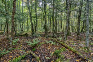 12ac Off Lakeshore Dr., , Bessemer,  MI 49911 United States
