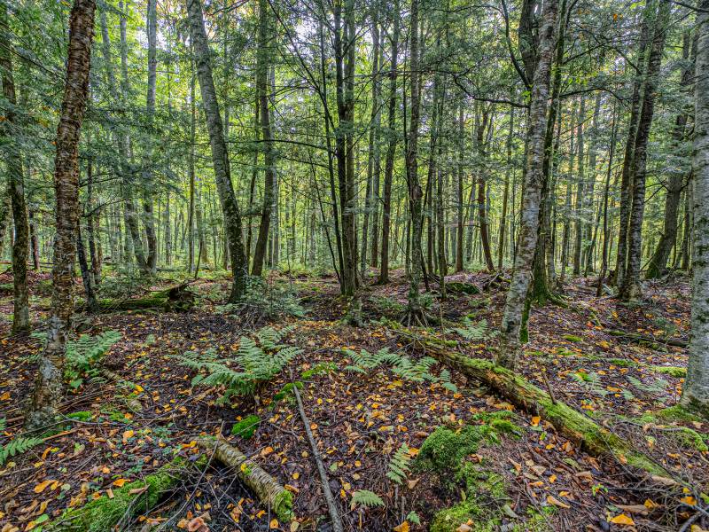 12ac Off Lakeshore Dr., , Bessemer,  MI 49911 United States
