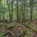 12ac Off Lakeshore Dr., , Bessemer,  MI 49911 United States
