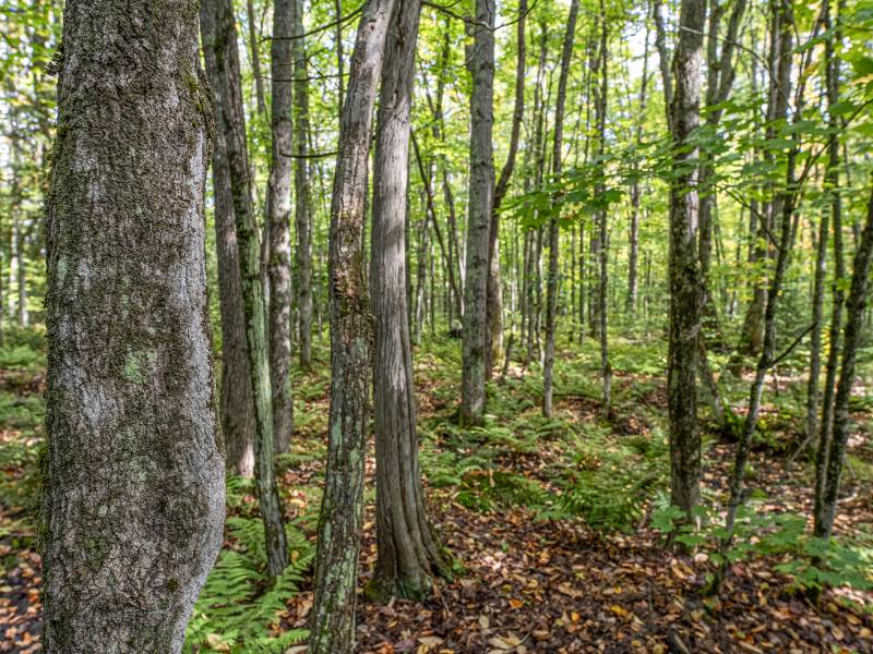 12ac Off Lakeshore Dr., , Bessemer,  MI 49911 United States
