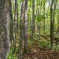 12ac Off Lakeshore Dr., , Bessemer,  MI 49911 United States