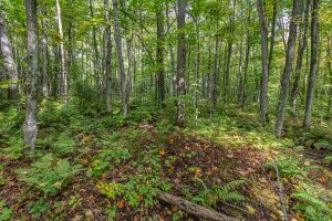 12ac Off Lakeshore Dr., , Bessemer,  MI 49911 United States