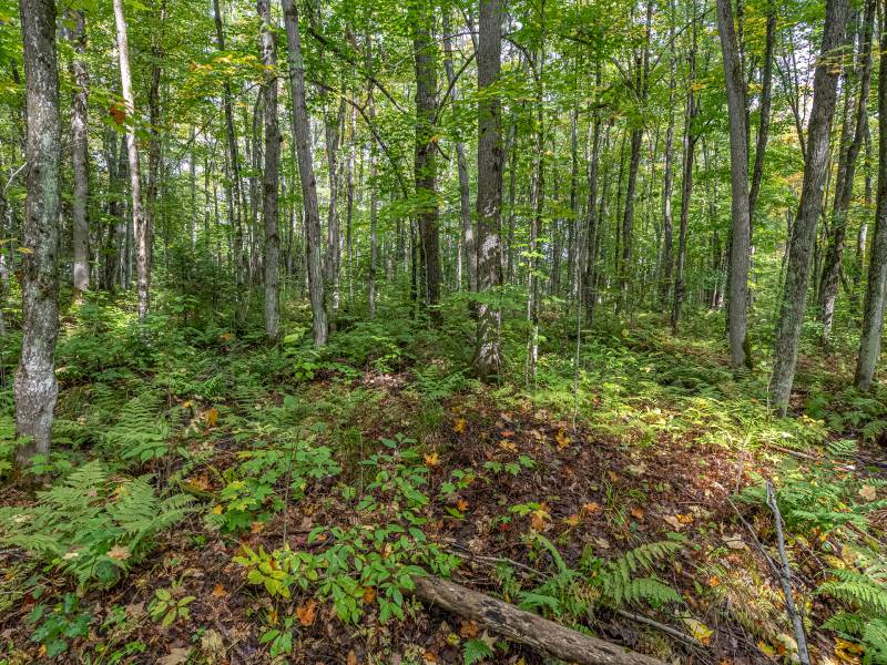 12ac Off Lakeshore Dr., , Bessemer,  MI 49911 United States