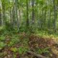 12ac Off Lakeshore Dr., , Bessemer,  MI 49911 United States
