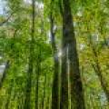12ac Off Lakeshore Dr., , Bessemer,  MI 49911 United States