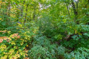 12ac Off Lakeshore Dr., , Bessemer,  MI 49911 United States