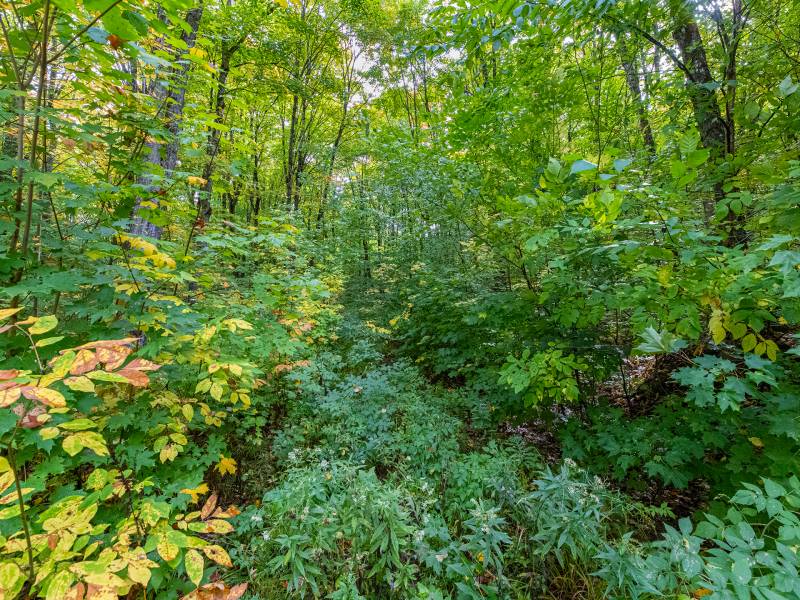 12ac Off Lakeshore Dr., , Bessemer,  MI 49911 United States