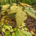 12ac Off Lakeshore Dr., , Bessemer,  MI 49911 United States