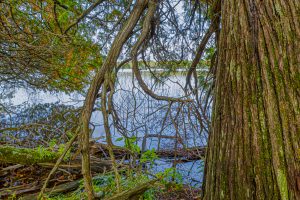 12ac Off Lakeshore Dr., , Bessemer,  MI 49911 United States
