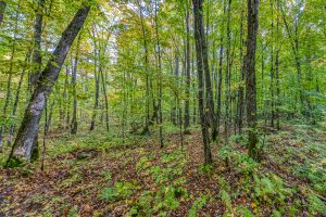 12ac Off Lakeshore Dr., , Bessemer,  MI 49911 United States