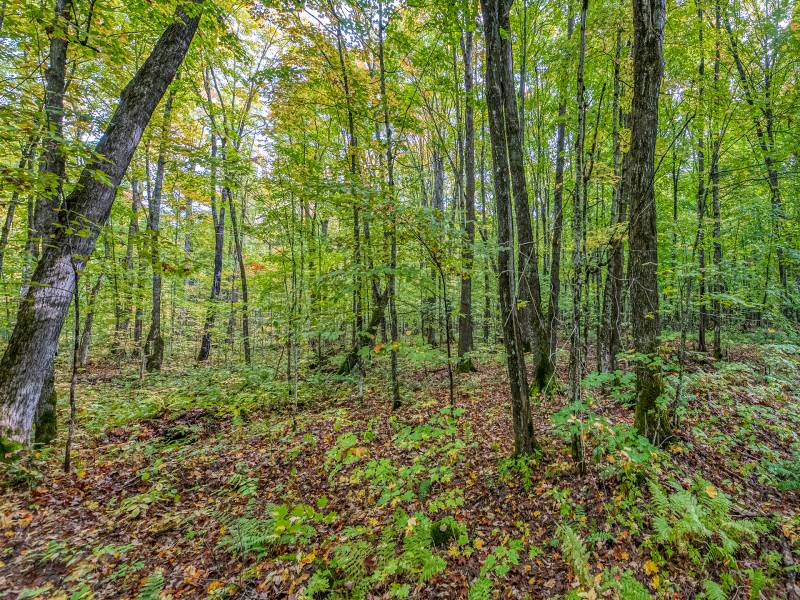 12ac Off Lakeshore Dr., , Bessemer,  MI 49911 United States