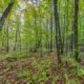 12ac Off Lakeshore Dr., , Bessemer,  MI 49911 United States