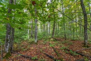 12ac Off Lakeshore Dr., , Bessemer,  MI 49911 United States