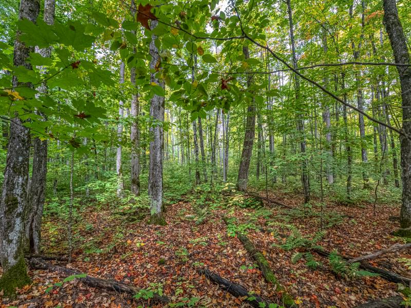 12ac Off Lakeshore Dr., , Bessemer,  MI 49911 United States