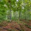 12ac Off Lakeshore Dr., , Bessemer,  MI 49911 United States