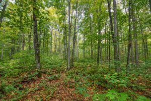 12ac Off Lakeshore Dr., , Bessemer,  MI 49911 United States
