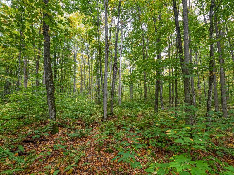 12ac Off Lakeshore Dr., , Bessemer,  MI 49911 United States