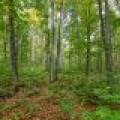 12ac Off Lakeshore Dr., , Bessemer,  MI 49911 United States