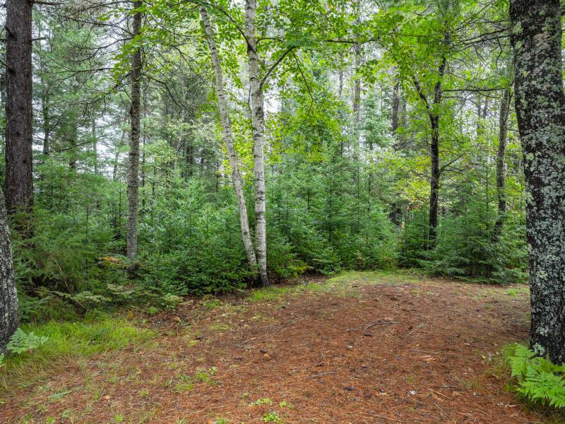1378 Bluebird Ln, , Eagle River,  WI 54521 United States