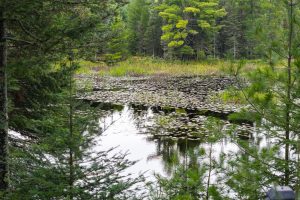 1378 Bluebird Ln, , Eagle River,  WI 54521 United States
