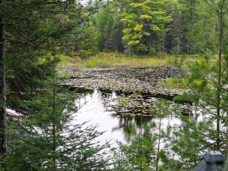 1378 Bluebird Ln, , Eagle River,  WI 54521 United States