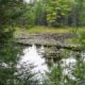 1378 Bluebird Ln, , Eagle River,  WI 54521 United States