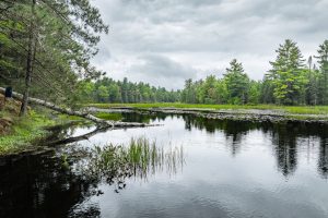 1378 Bluebird Ln, , Eagle River,  WI 54521 United States