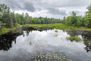 1378 Bluebird Ln, , Eagle River,  WI 54521 United States