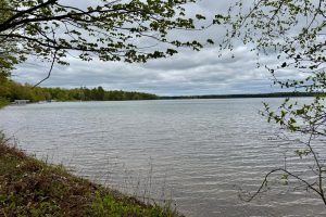 15042 Lakeview Rd, , Three Lakes,  WI 54562 United States
