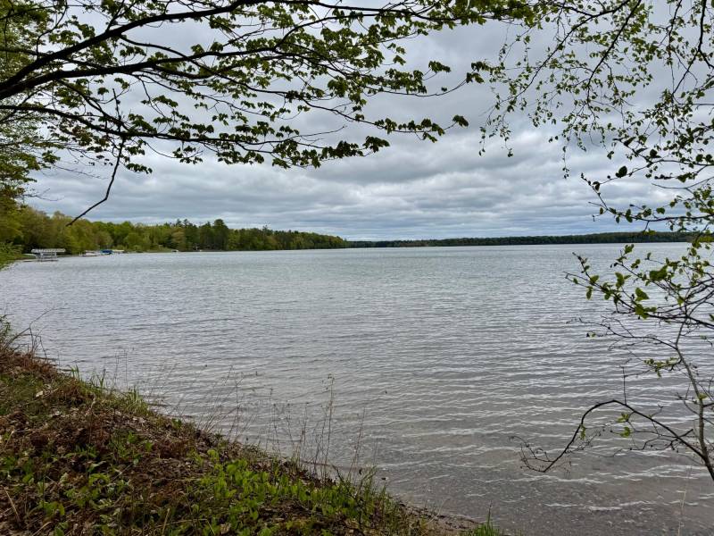 15042 Lakeview Rd, , Three Lakes,  WI 54562 United States