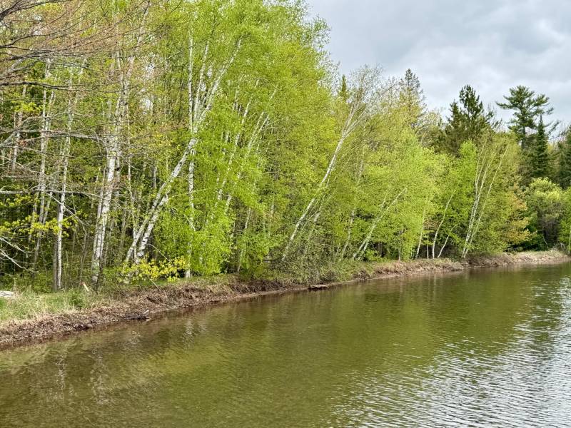 15042 Lakeview Rd, , Three Lakes,  WI 54562 United States