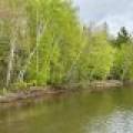 15042 Lakeview Rd, , Three Lakes,  WI 54562 United States