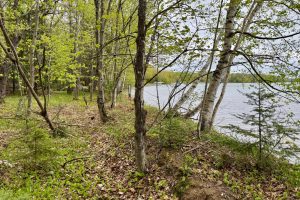 15042 Lakeview Rd, , Three Lakes,  WI 54562 United States