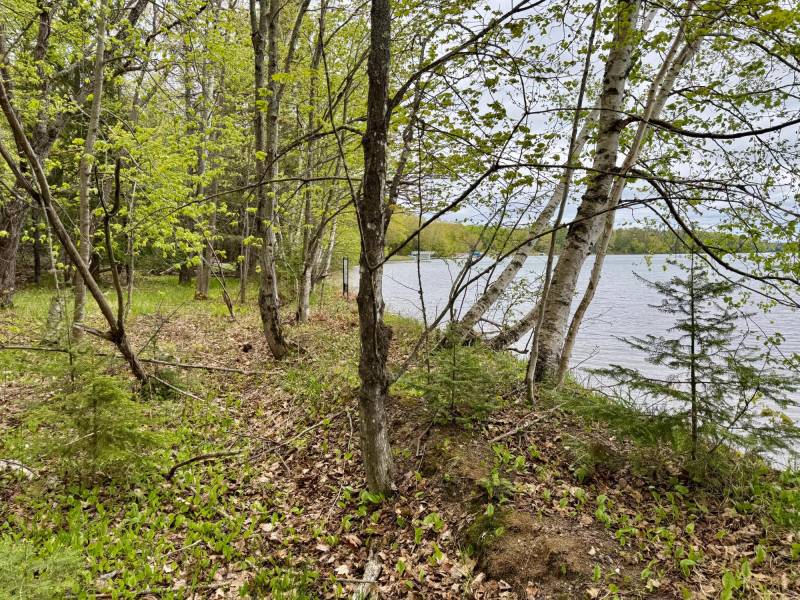 15042 Lakeview Rd, , Three Lakes,  WI 54562 United States