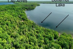 15042 Lakeview Rd, , Three Lakes,  WI 54562 United States